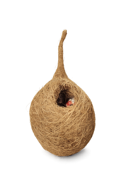 Handcrafted Natural Hanging Bird Nest | Eco-Friendly Coconut Fiber Bird House for Sparrows, Finches & Small Birds | Weather Resistant Outdoor Nest for Garden, Balcony, Terrace & Backyard