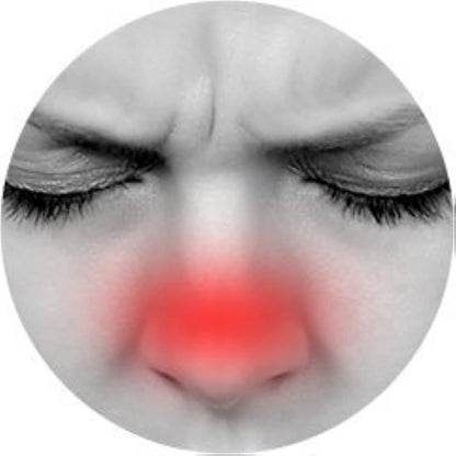 Gold Medal Öl (12er-Packung). 