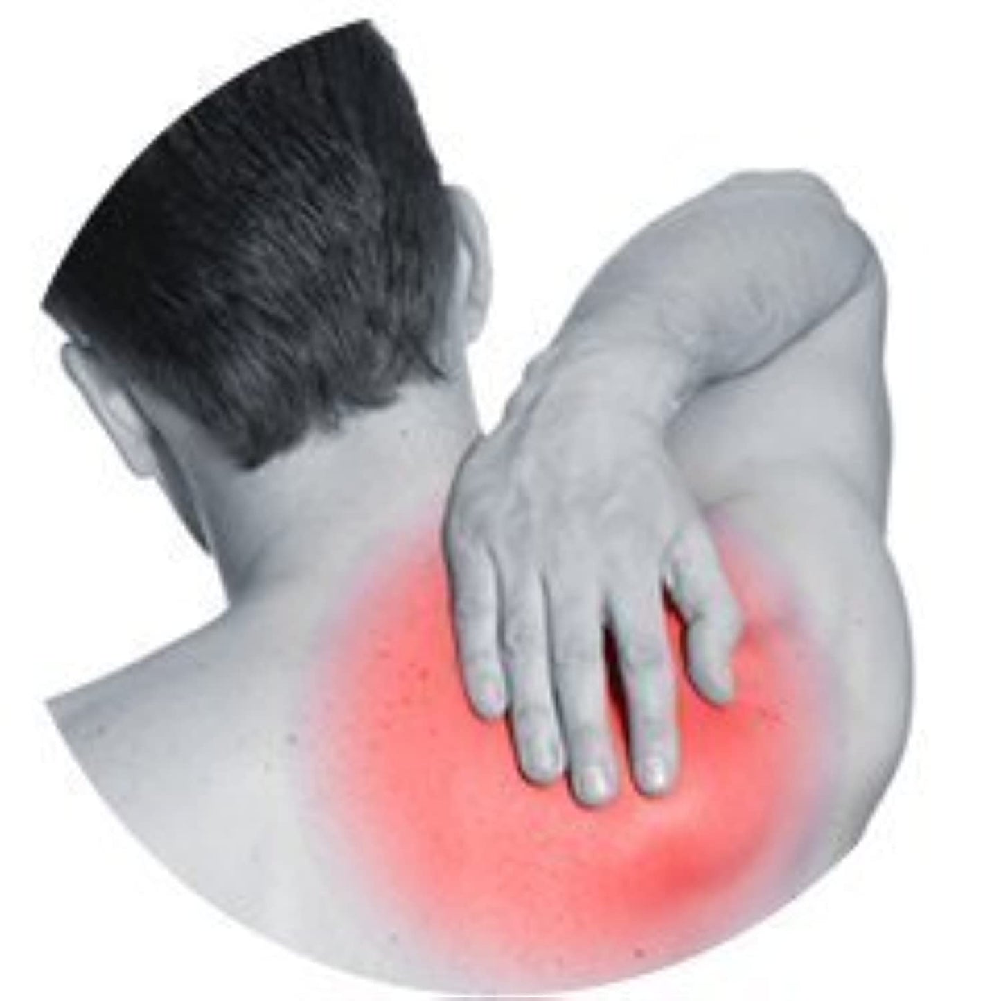 Gold Medal Öl (12er-Packung). 